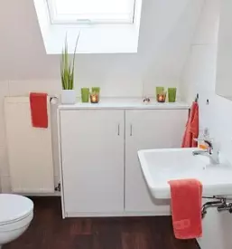 Oblaganje tal in sten murska sobota okolica