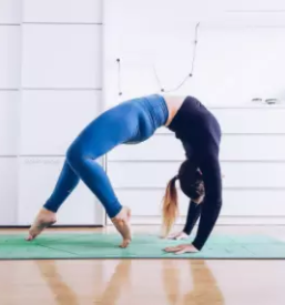 Online joga slovenija