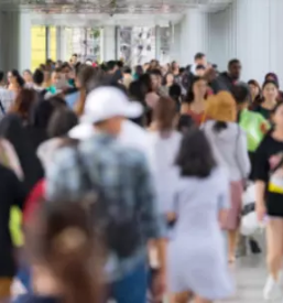 Organizacija izletov Ptuj