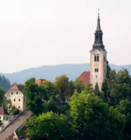 Organizacija kongresov Ptuj