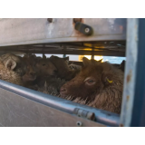 BOŠTJAN LEKŠE S.P.