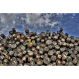 EIGNER LES, ANDREJA EIGNER S.P.