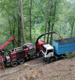 Prodaja lesnih sekancev kobarid