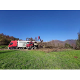 BIOMASA PRIMORSKA, NIKA HVALA S.P.