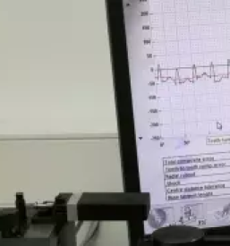 Proizvodnja drugih izdelkov iz plasticnih mas savinjska