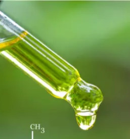 Spletna prodaja konopljinih izdelkov in vrtnarskih pripomockov slovenija