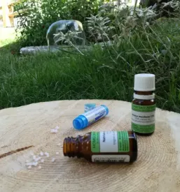 Svetovanje o vitalni energiji   homeopatija, gorenjska