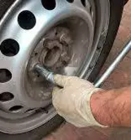 Vulkanizerstvo markovci