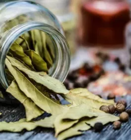 Zelisca celje okolica savinjska