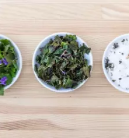 Zeliscna darila celje okolica savinjska