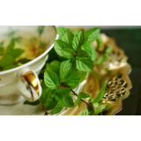 VIRIN POSREDNIŠTVO BARBKA RODE S.P.