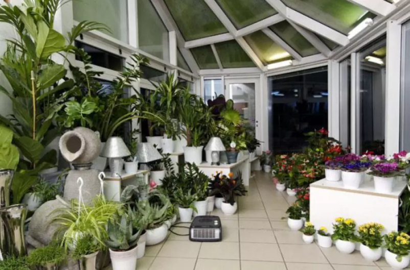 Cvetličarna v Krškem