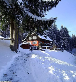 Domac bograc kipljenci in borovnicev strudelj ravne na koroskem