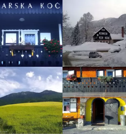 Domac bograc kipljenci in borovnicev strudelj ravne na koroskem