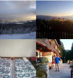 Domac bograc kipljenci in borovnicev strudelj ravne na koroskem