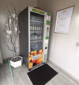 Prodaja visoko kvalitetnega bučnega olja Petovar Slovenija