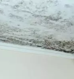 Lokalno prezracevanje 1