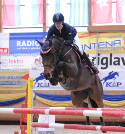 Aquatrainer for horses slovenia