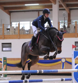 Aquatrainer for horses slovenia