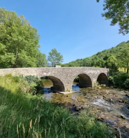 Bike tours in vipava valley and karst