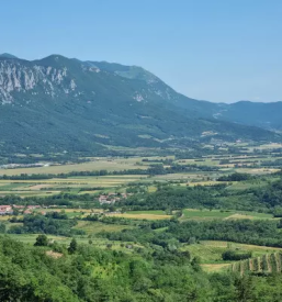 Bike tours in vipava valley and karst