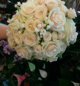 Cvetlicarna in vrtnarija rovte logatec