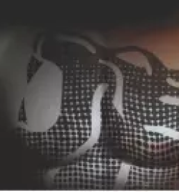 Delovna obutev in oblacila ljubljana osrednja slovenija