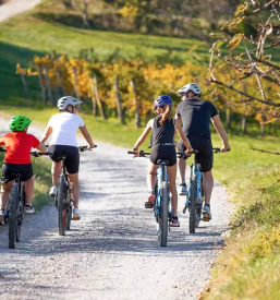 E bike rental in vipava valley and karst