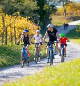 E bike rental in vipava valley and karst