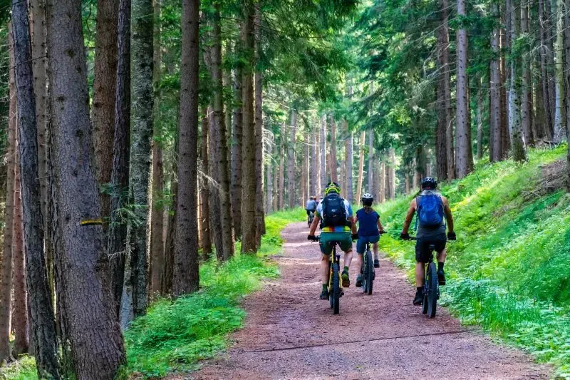 E-bike rental and bike tours in Vipava Valley and Karst