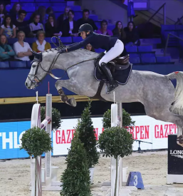 Jahanje ponijev za otroke gorenjska