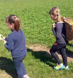 Jahanje ponijev za otroke gorenjska