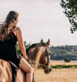 Kvaliteten trening za konje osrednja slovenija