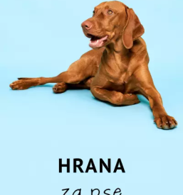 Kvalitetna pseca hrana slovenija