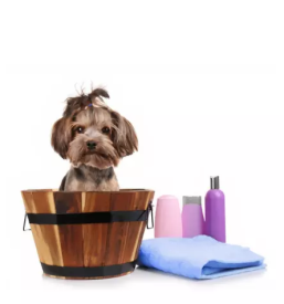 Kvalitetna pseca hrana slovenija