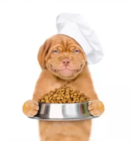 Kvalitetna pseca hrana slovenija