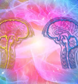 Kvalitetna psihoterapija Celje