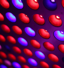 Led luci za vrtnarjenje in namakalne sisteme kranj gorenjska slovenija