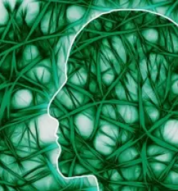 Nlp coaching ljubljana okolica