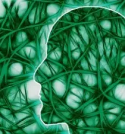 Nlp coaching ljubljana okolica
