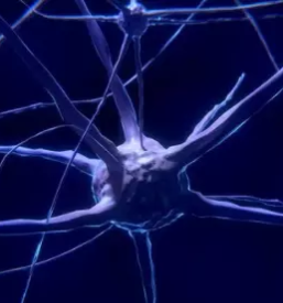 Nlp coaching ljubljana okolica