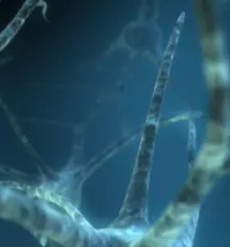 Nlp coaching ljubljana okolica