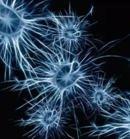 Nlp coaching ljubljana okolica