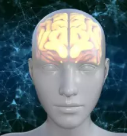 Nlp coaching ljubljana okolica