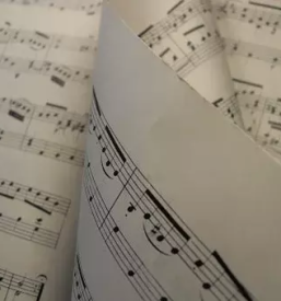 Poucevanje glasbe na domu dolenjska