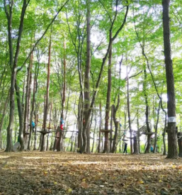 Pustolovski park stajerska