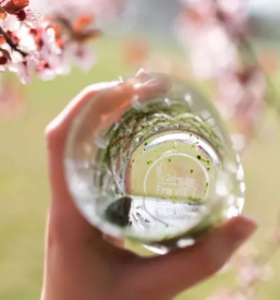 Ugodni sokovi iz mlade pirine trave savinjska