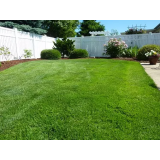 DRAGO PRATNEKER S.P.