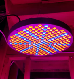 Vrtnarske led luci kranj gorenjska slovenija