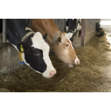 Aleš Irgolič - nosilec dopolnilne dejavnosti na kmetiji